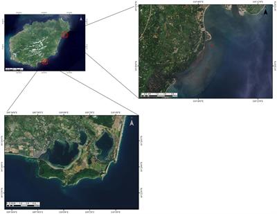 Restoration performance of Thalassia hemprichii and Enhalus acoroides at Gaolong bay and Xincun lagoon, Hainan Island, China